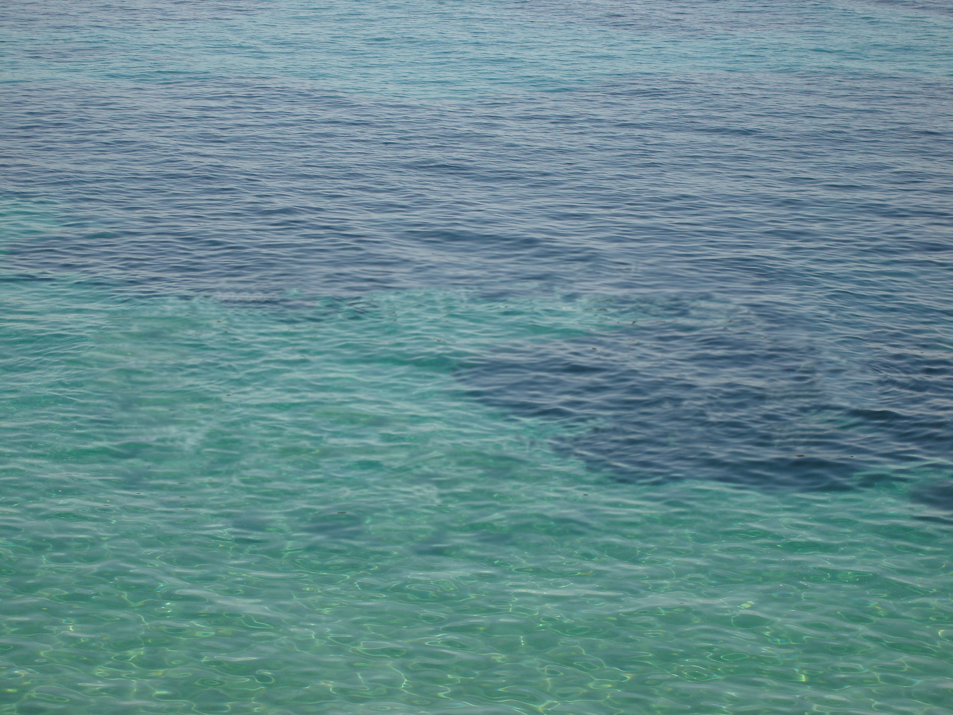 meer